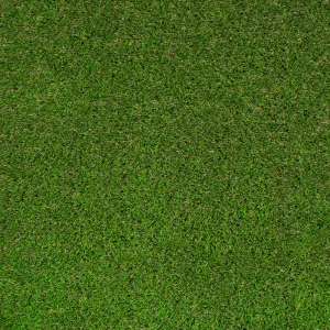 Abbeydale 35mm Artificial Grass