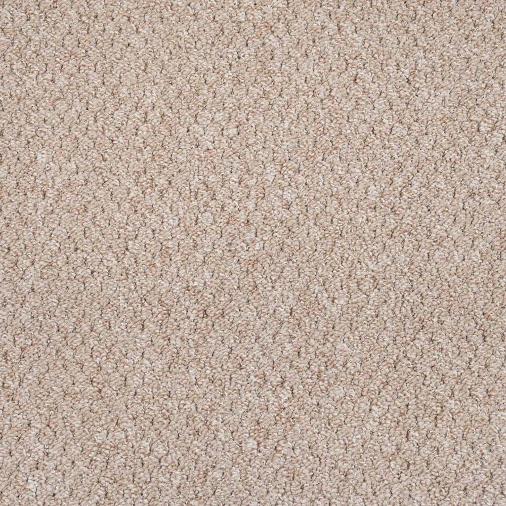 Alabama Loop Carpet