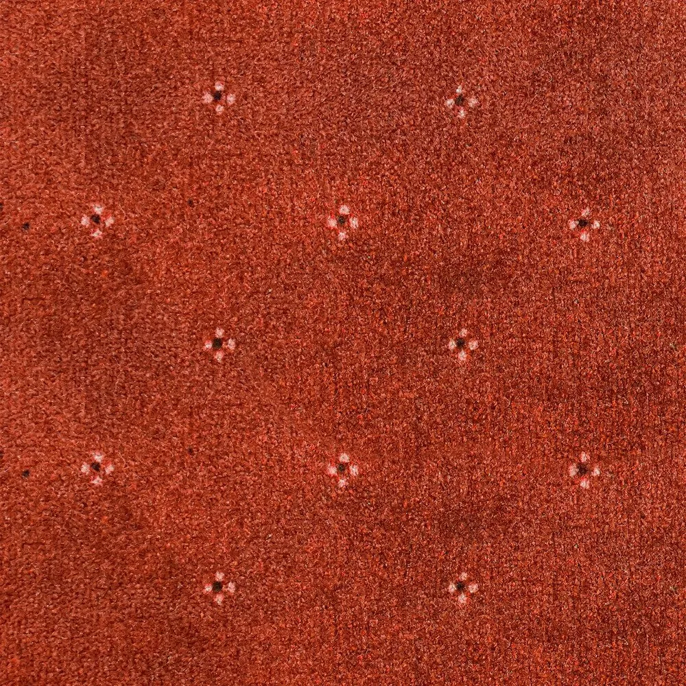 Animo Carpet Clearance