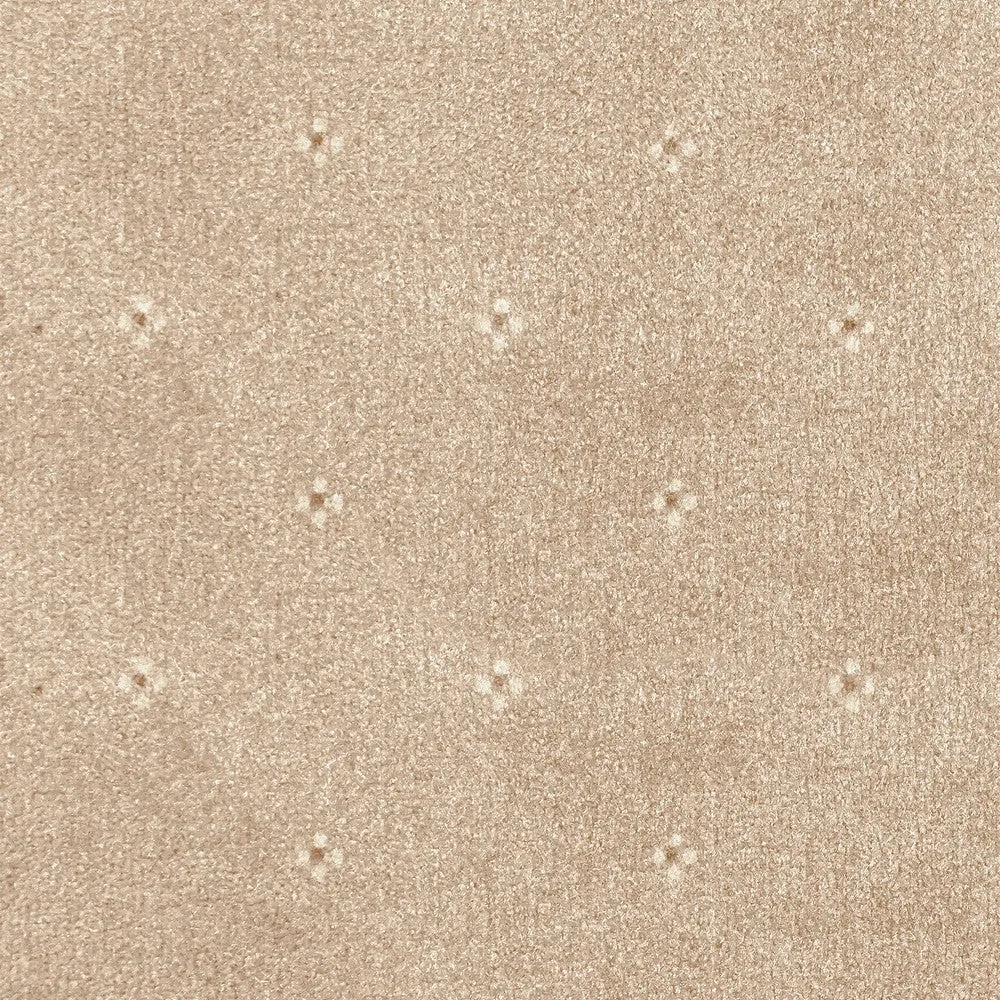 Animo Carpet Clearance