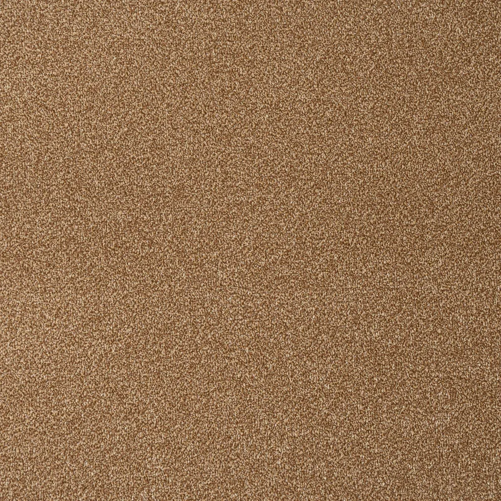 Apollo Plus Carpet by Cormar