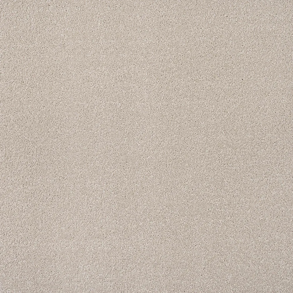 Apollo Plus Carpet by Cormar