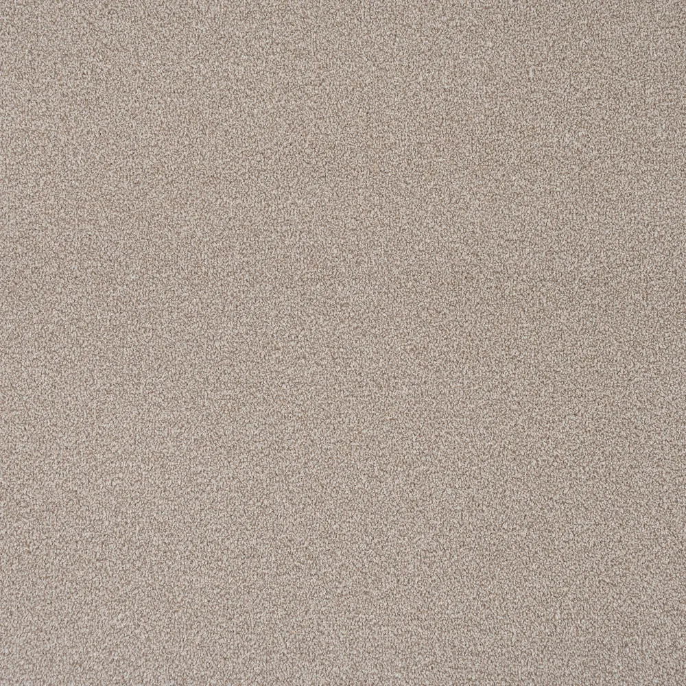 Apollo Plus Carpet by Cormar