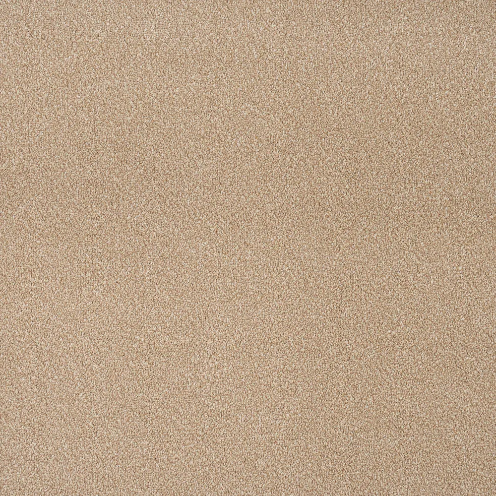Apollo Plus Carpet by Cormar