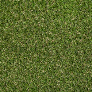 Askham 37mm Artificial Grass