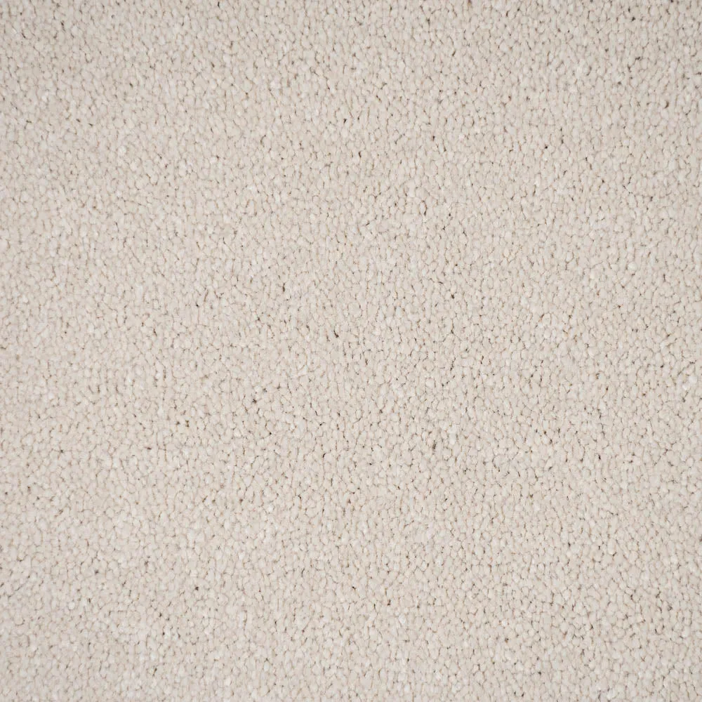 Bellevue Saxony Carpet