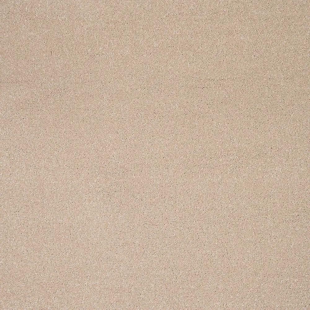 Bellevue Saxony Carpet