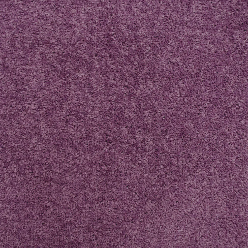 Belton Feltback Twist Carpet