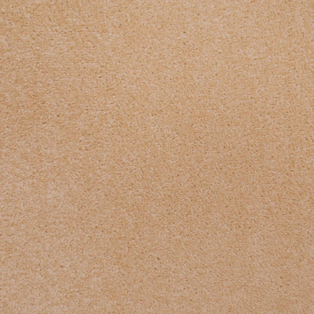 Belton Feltback Twist Carpet