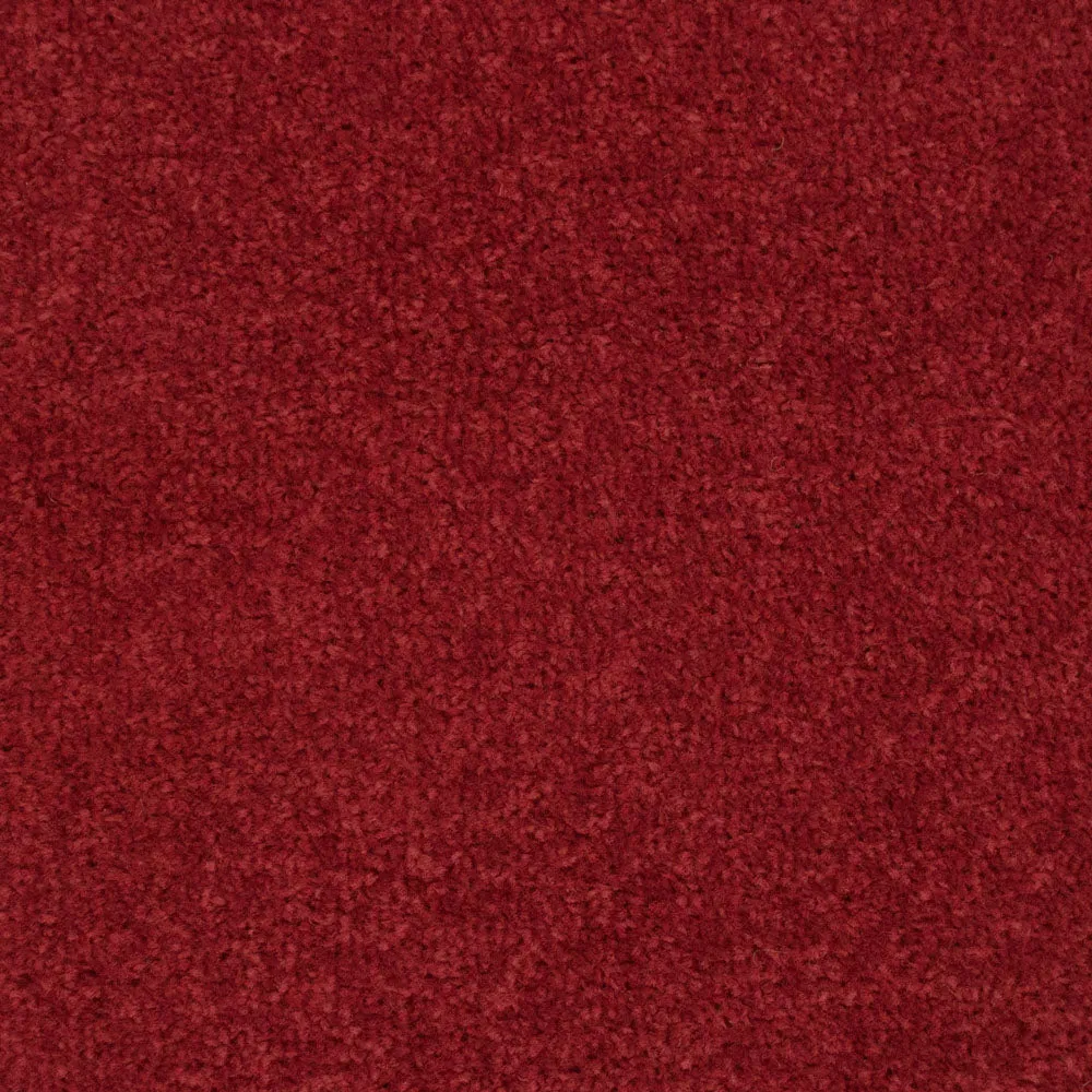 Belton Feltback Twist Carpet
