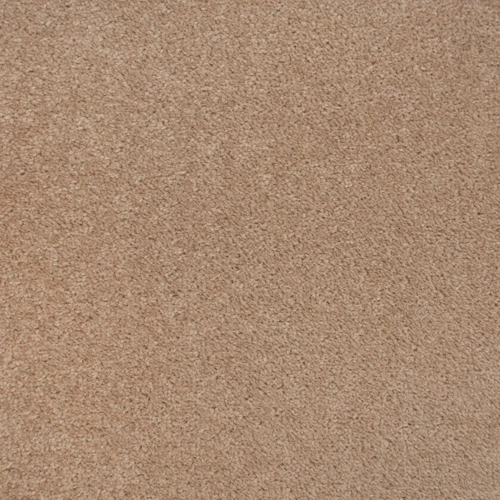 Belton Feltback Twist Carpet