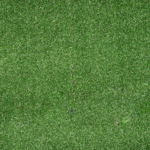 Budget Artificial Grass