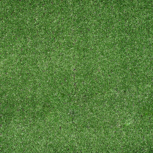 Budget Artificial Grass