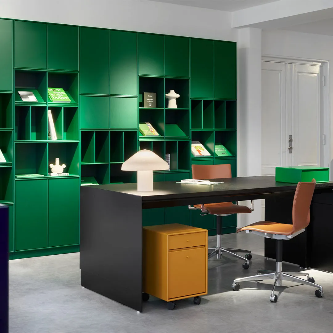Cabinet 1118 - 2 Lacquered Doors, Plinth Base