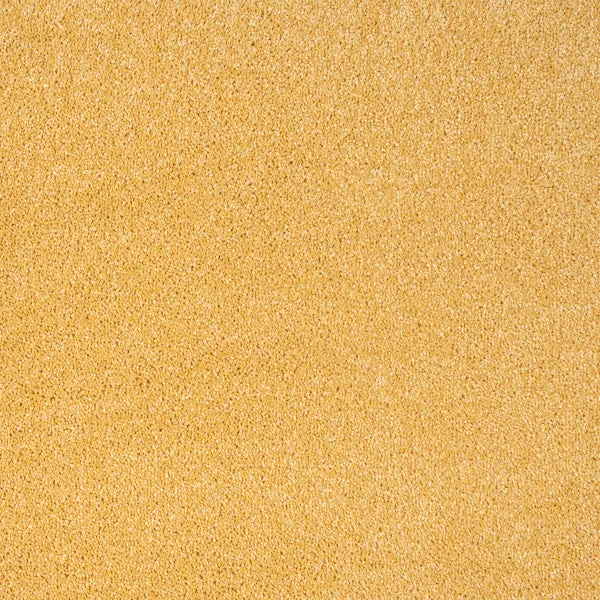 Carousel Twist Carpet