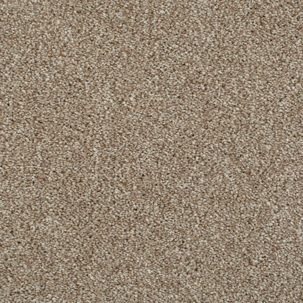 Cassius 70oz Invictus Carpet