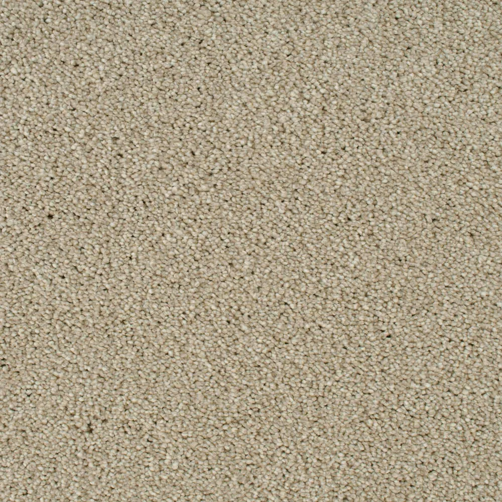 Cassius 70oz Invictus Carpet