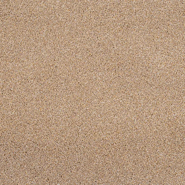 Cassius 70oz Invictus Carpet