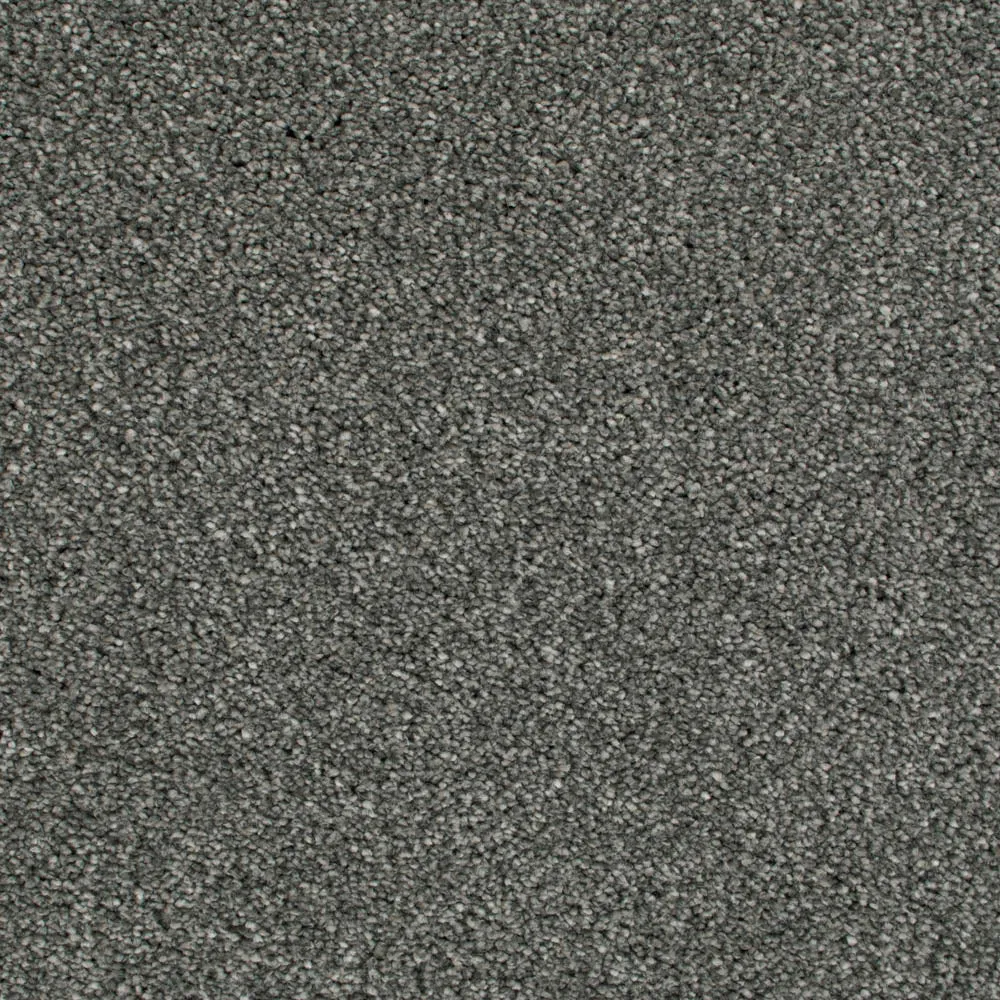 Cassius 70oz Invictus Carpet