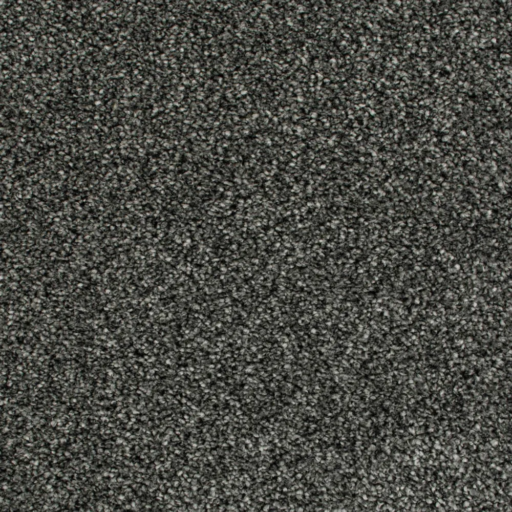 Cassius 70oz Invictus Carpet