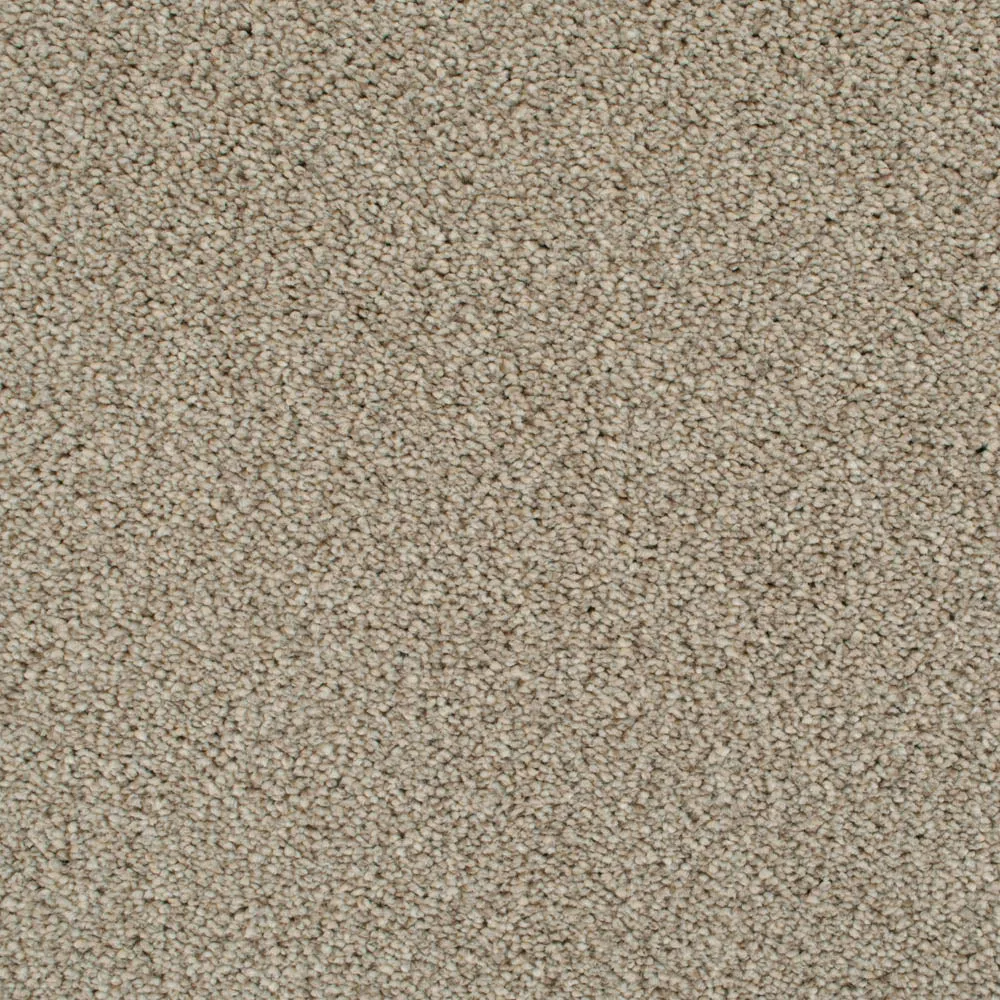 Cassius 70oz Invictus Carpet
