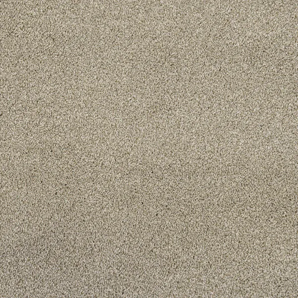 Cassius 70oz Invictus Carpet
