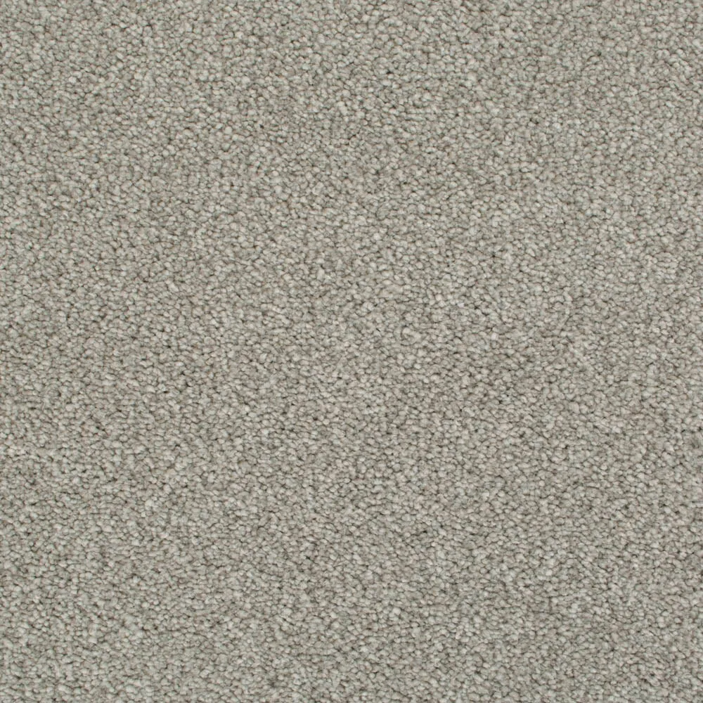 Cassius 70oz Invictus Carpet