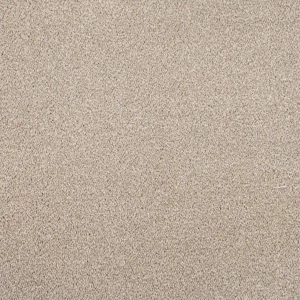 Cassius 70oz Invictus Carpet