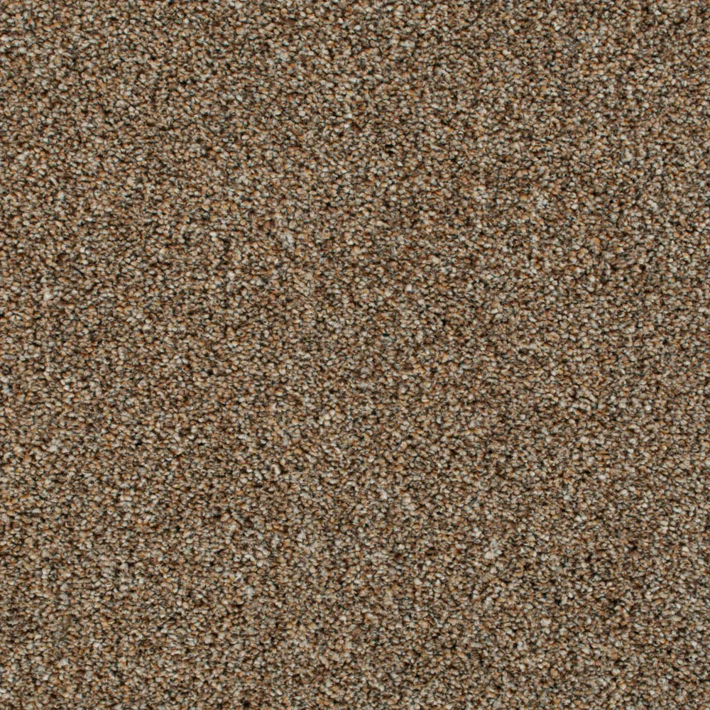 Cassius 70oz Invictus Carpet