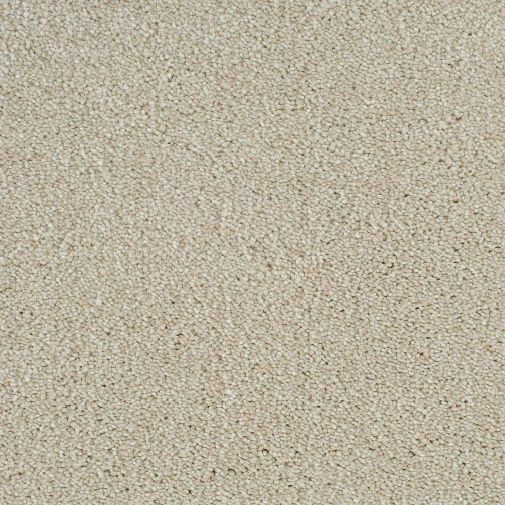 Cassius 70oz Invictus Carpet