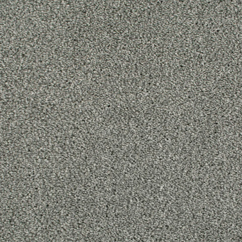 Cassius 70oz Invictus Carpet