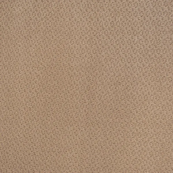 Castle Carpet