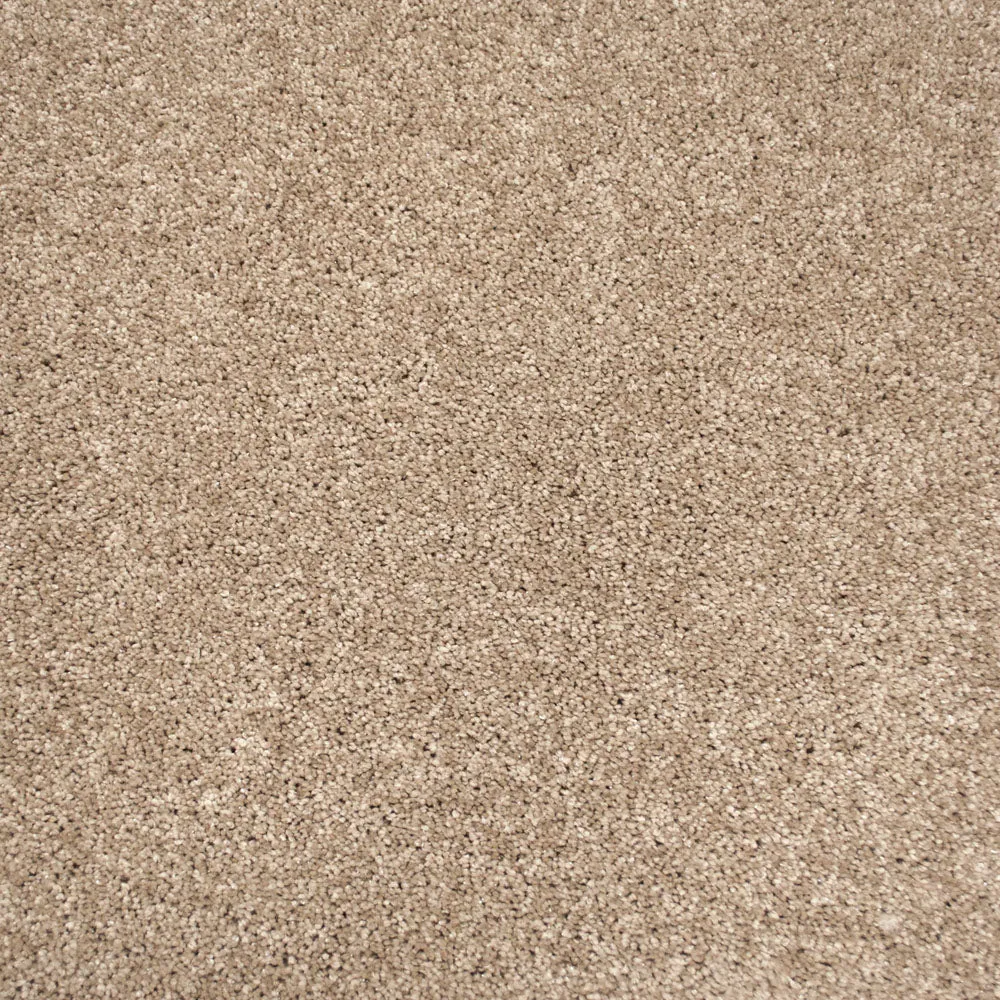 Centaurus Invictus Carpet