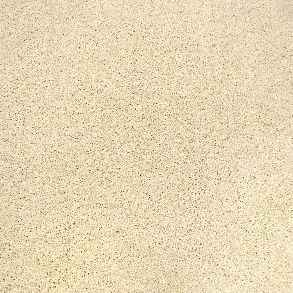 Centaurus Invictus Carpet