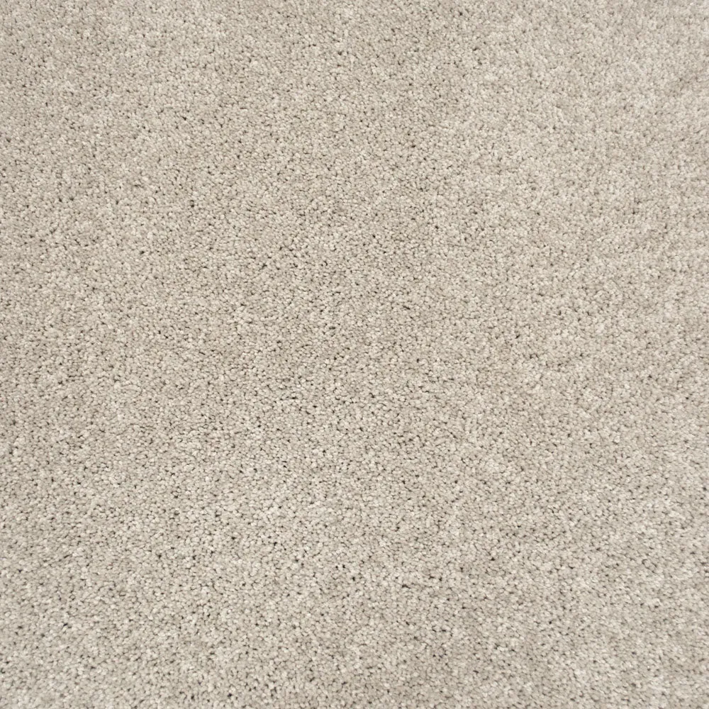 Centaurus Invictus Carpet
