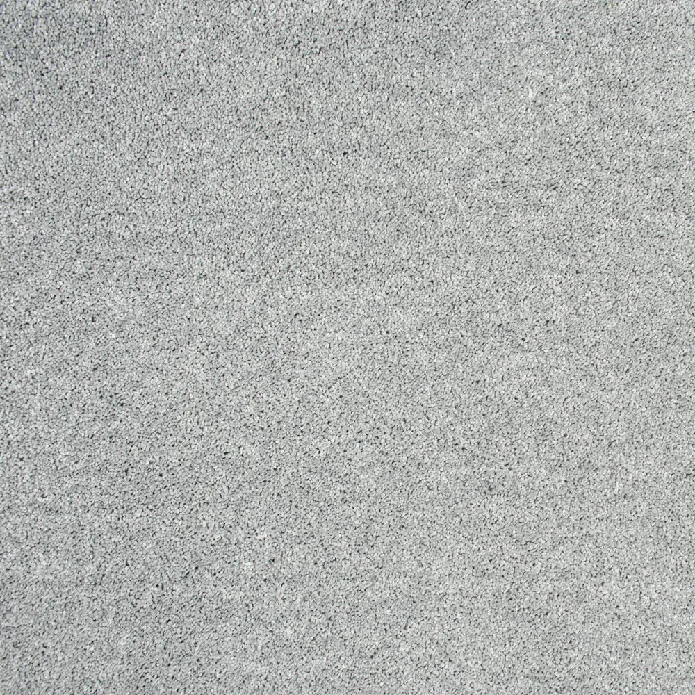 Centaurus Invictus Carpet