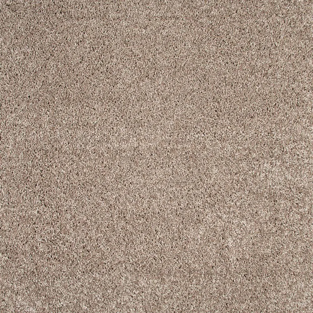 Centaurus Invictus Carpet