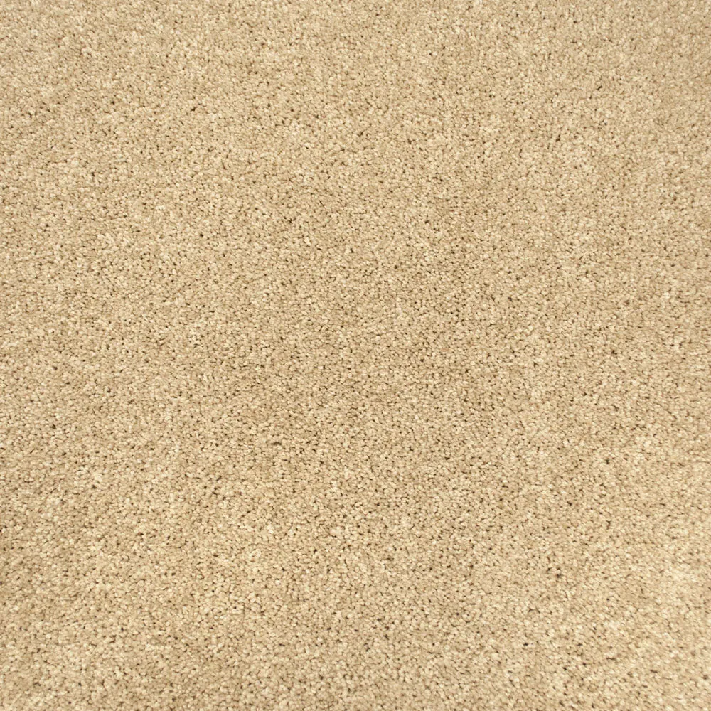 Centaurus Invictus Carpet