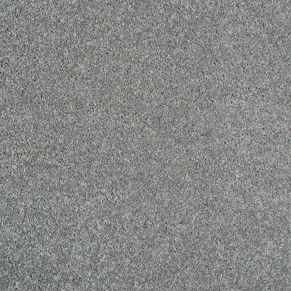 Centaurus Invictus Carpet