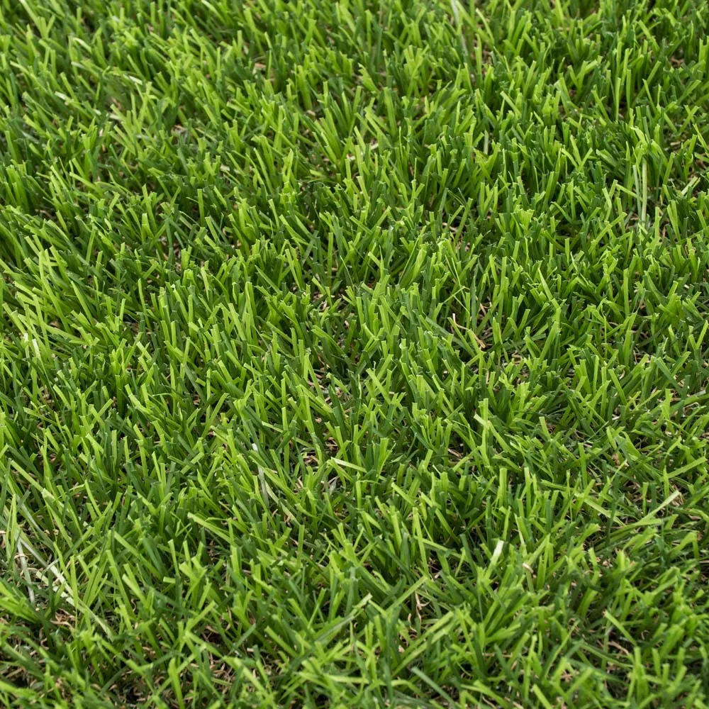 Daleside 40mm Artificial Grass 5m
