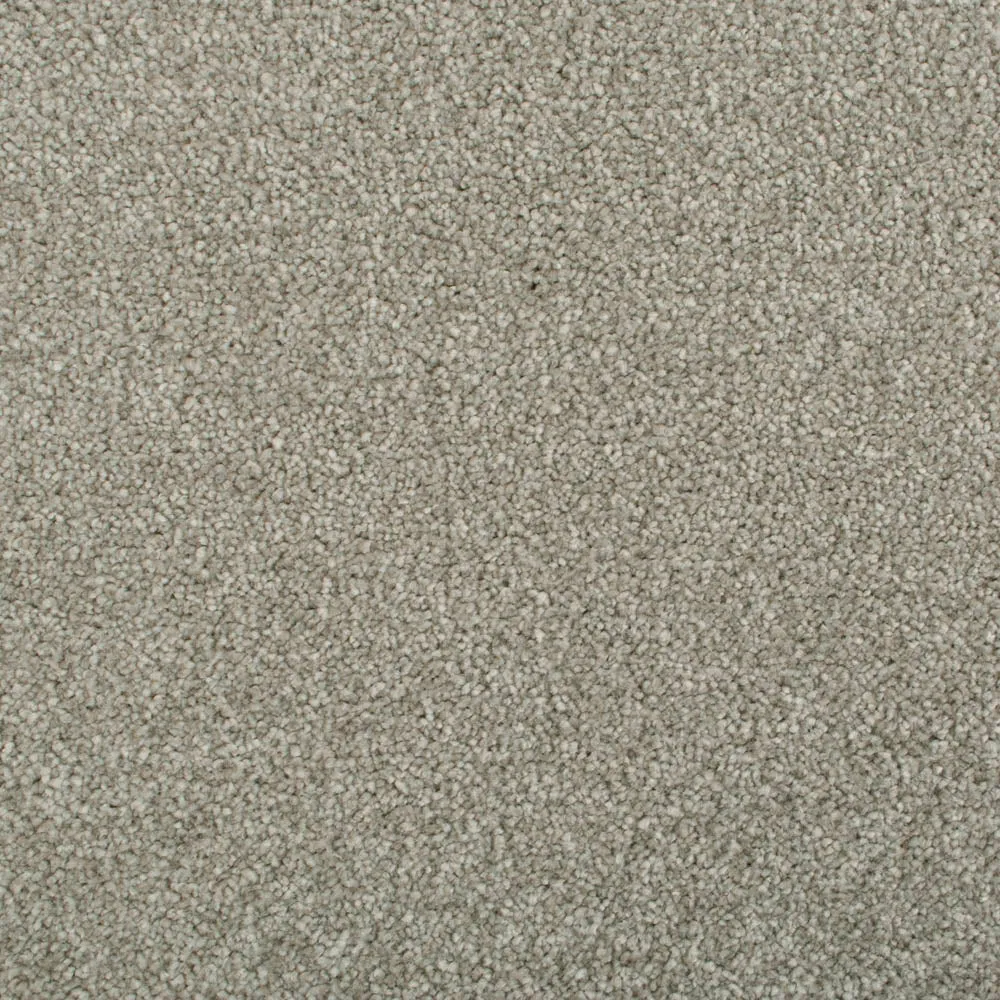 Darius 50oz Invictus Carpet