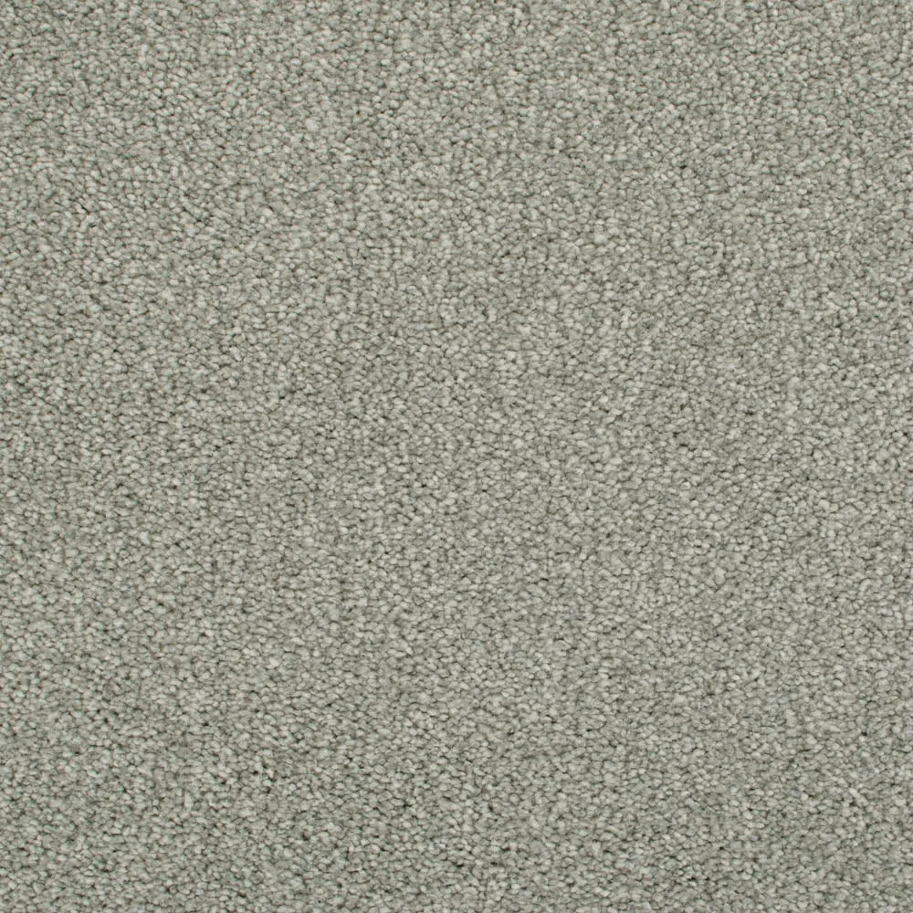 Darius 50oz Invictus Carpet