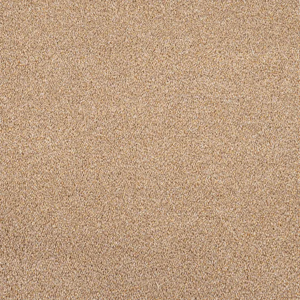 Darius 50oz Invictus Carpet