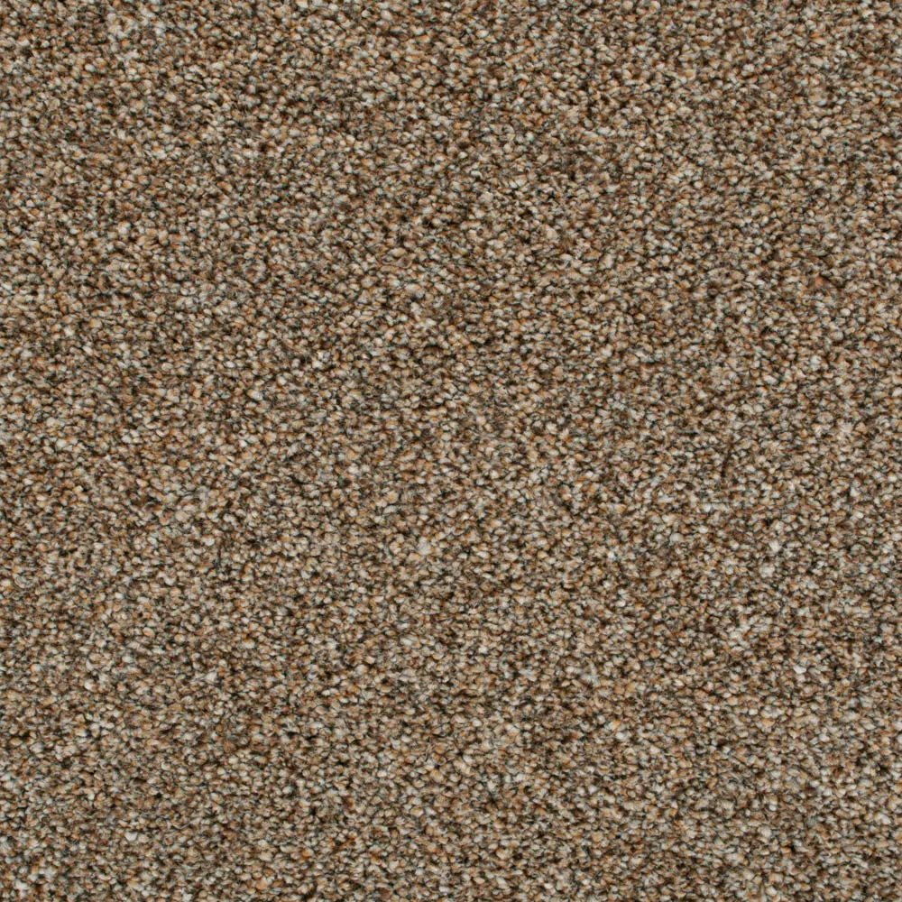Darius 50oz Invictus Carpet