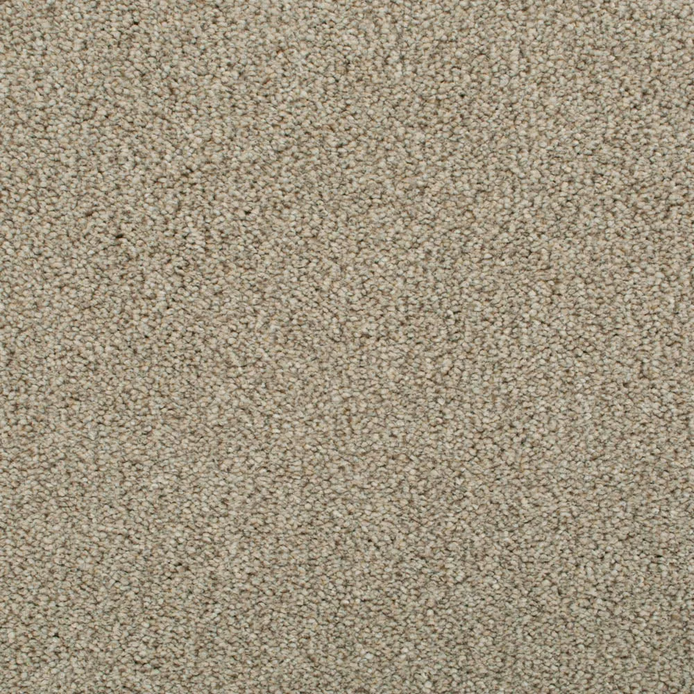 Darius 50oz Invictus Carpet