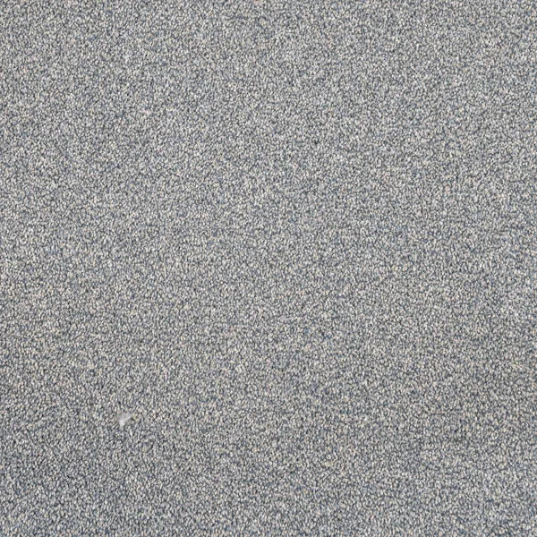 Darius 50oz Invictus Carpet