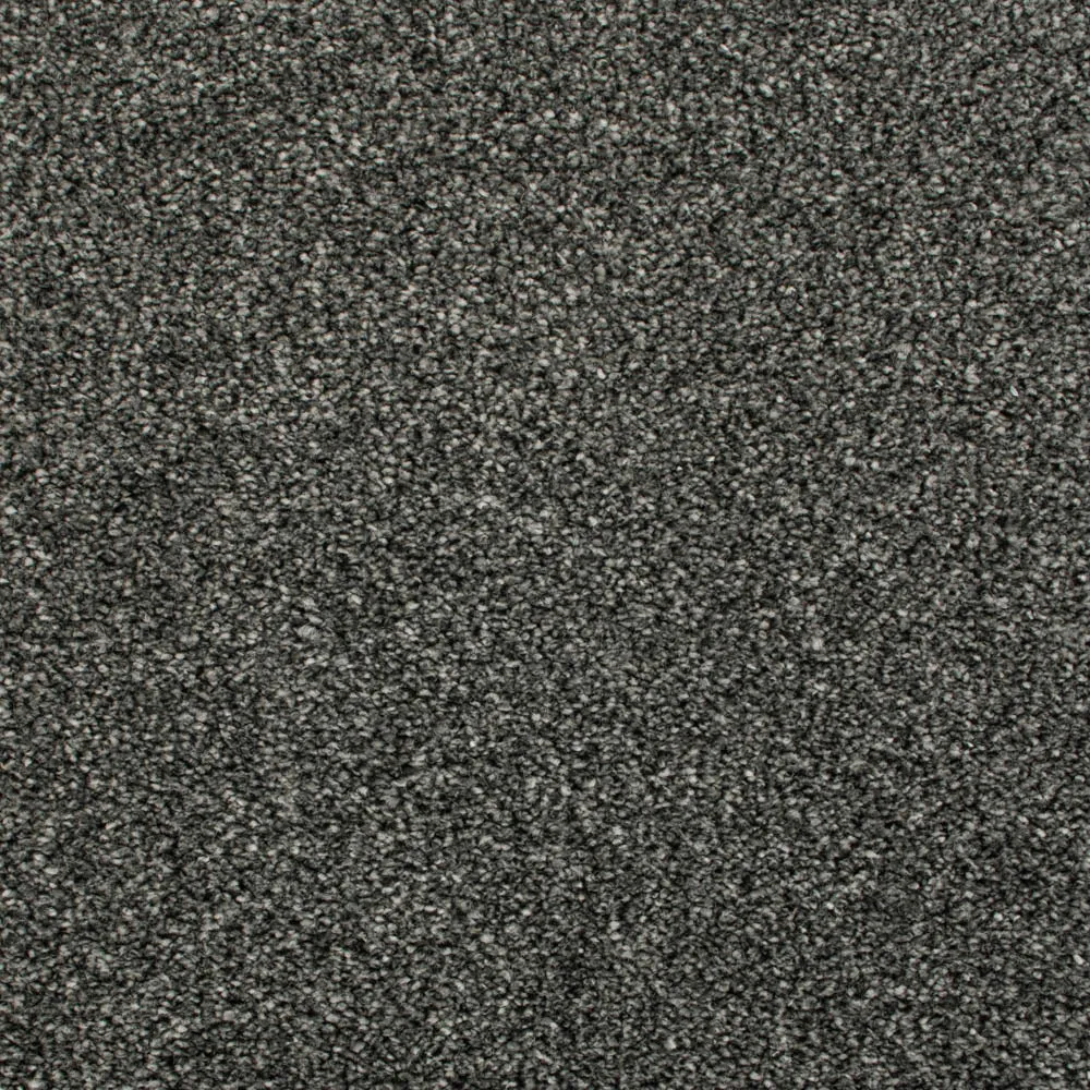 Darius 50oz Invictus Carpet
