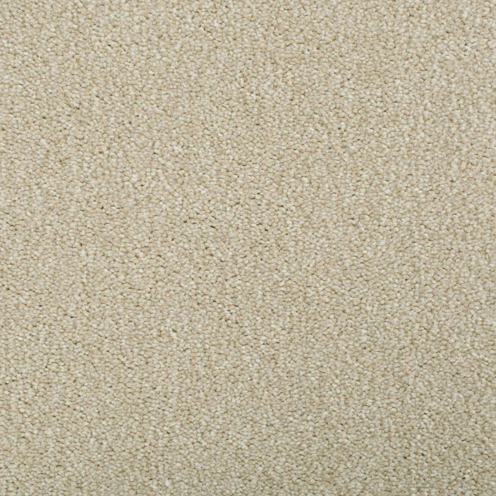 Darius 50oz Invictus Carpet