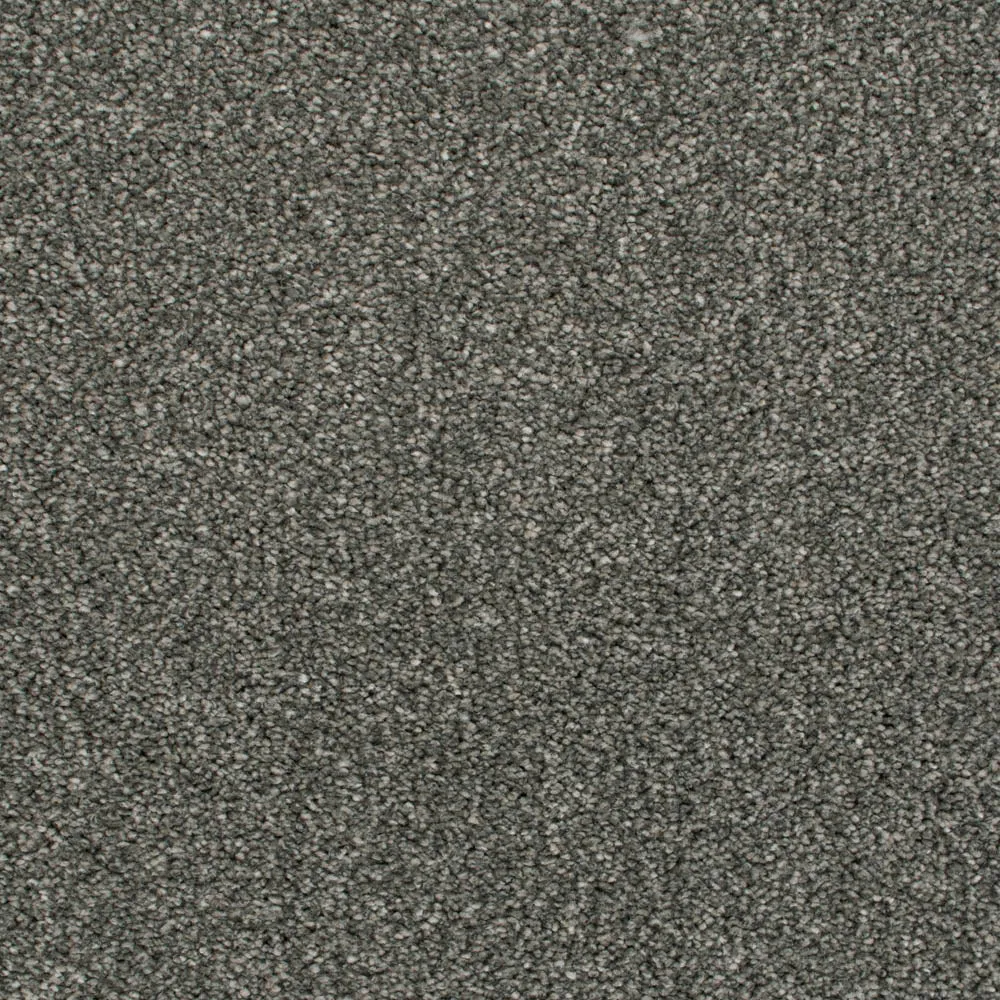 Darius 50oz Invictus Carpet