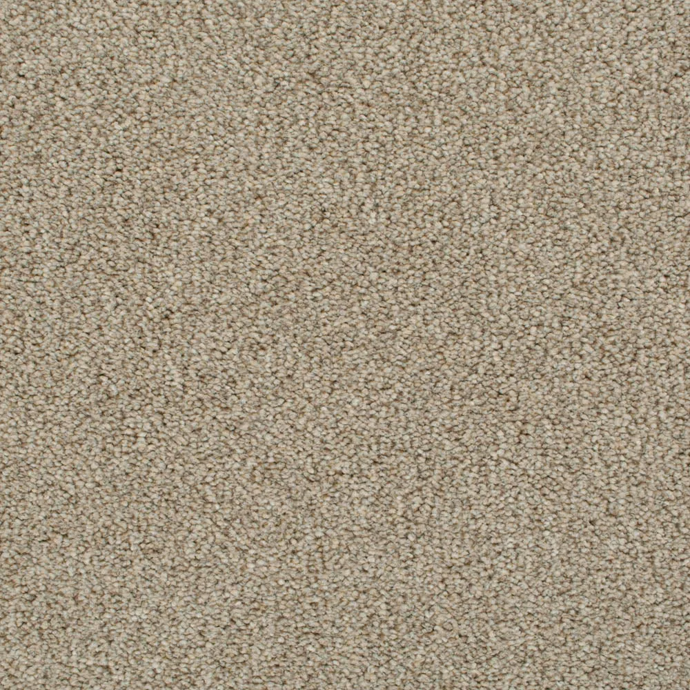 Darius 50oz Invictus Carpet